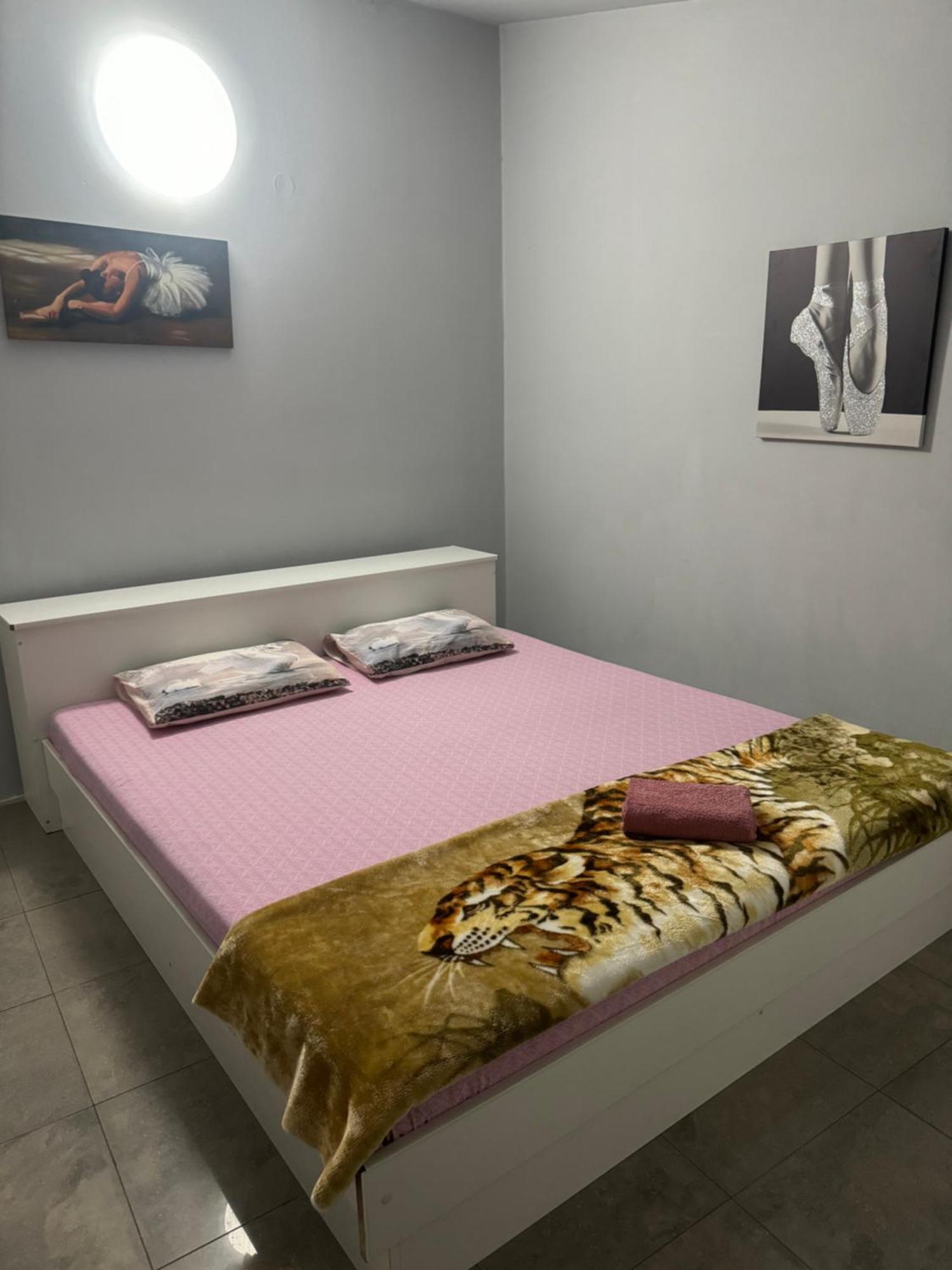 Lejla Apartment Podgorica Bagian luar foto